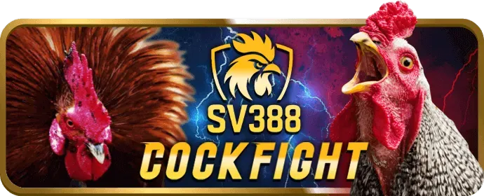 Trò chơi Blackjack tại win555 chính thức